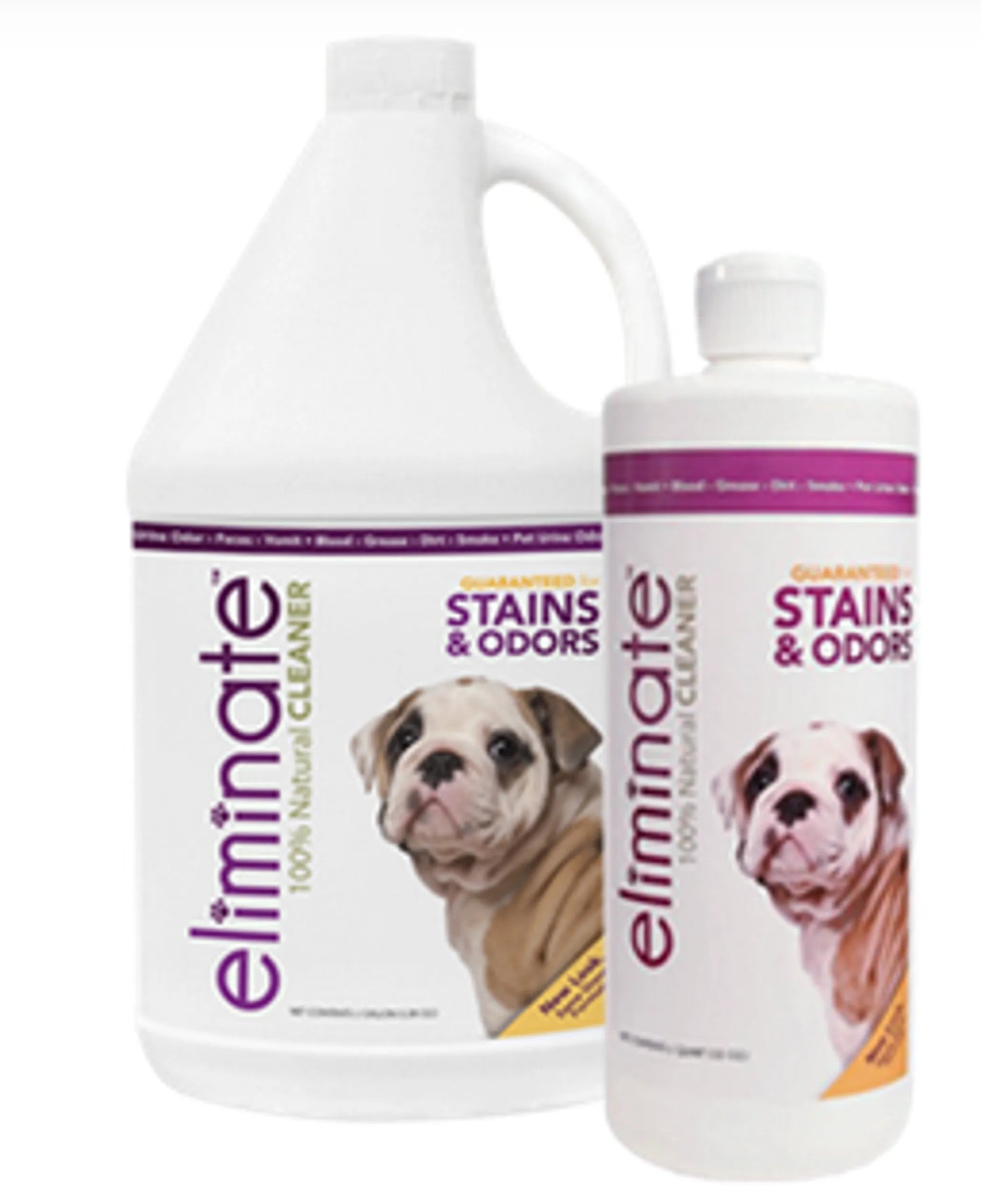 Natural Pet Stain & Odor Remover — Enzyme Formula, Multi-Surface, Eco-Safe