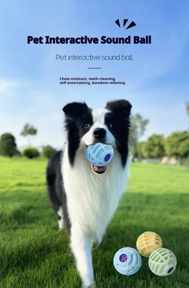 Interactive Sound Ball Pet Toy — Motion-Activated, Squeaky, Chew-Safe, Dogs & Cats