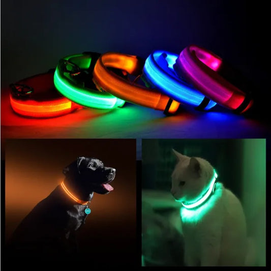 LED Safety Halo Dog Collar — Visible 1,000ft Away, 3 Light Modes, 5 Colors, S to XL
