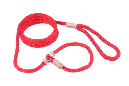 Instant Fit Premium Slip Rope Dog Leash - Humane, Adjustable & Durable