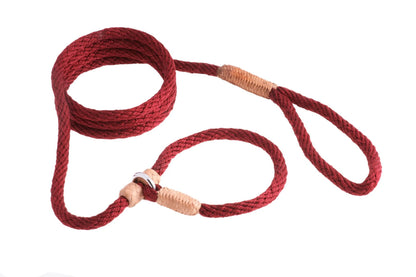 Instant Fit Premium Slip Rope Dog Leash - Humane, Adjustable & Durable