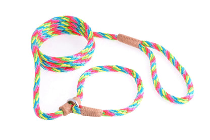 Instant Fit Premium Slip Rope Dog Leash - Humane, Adjustable & Durable