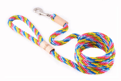 Sport Rope Dog Leash — 6ft, Braided Polypropylene, Swivel Snap Clip, 4 Colors