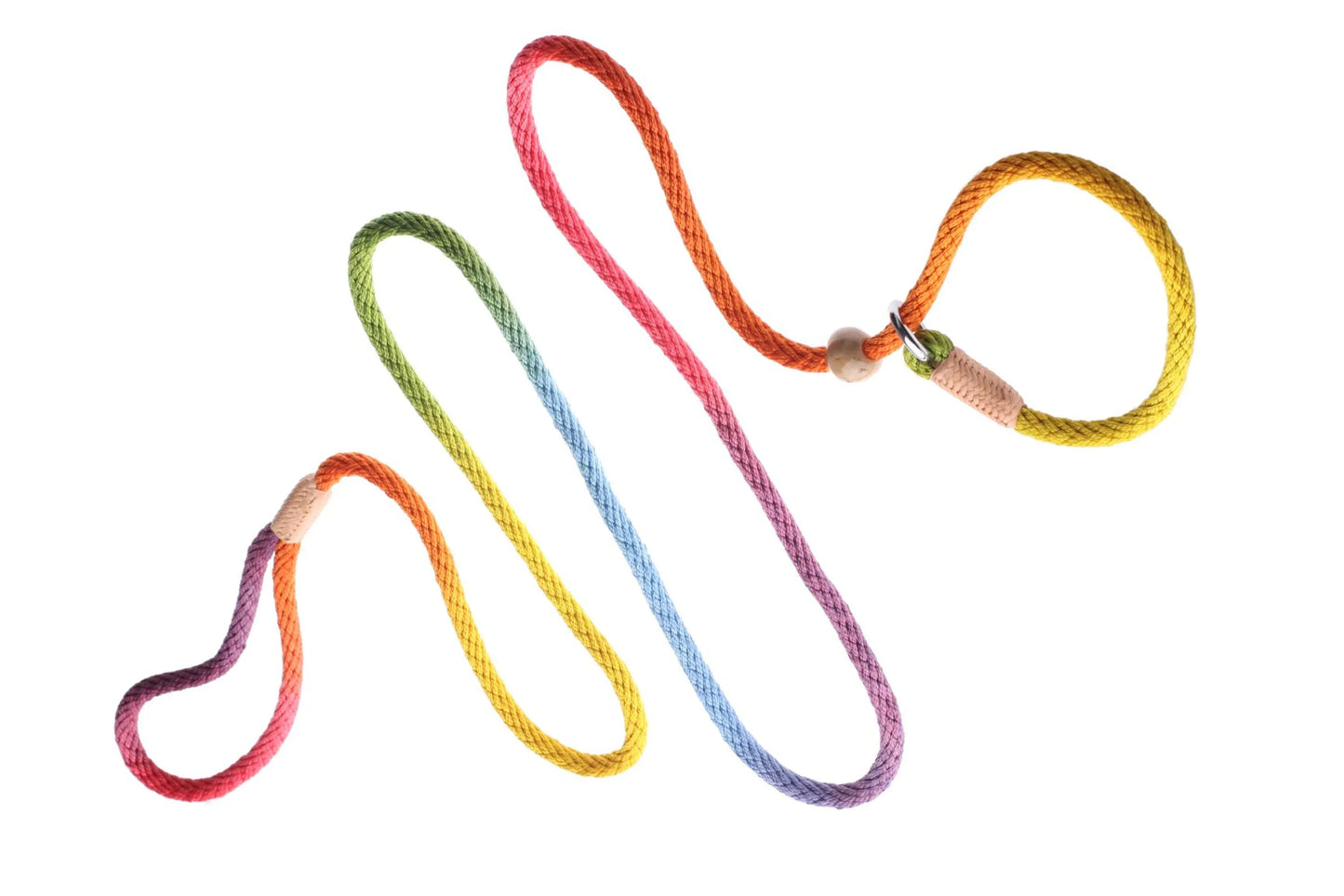 Instant Fit Premium Slip Rope Dog Leash - Humane, Adjustable & Durable