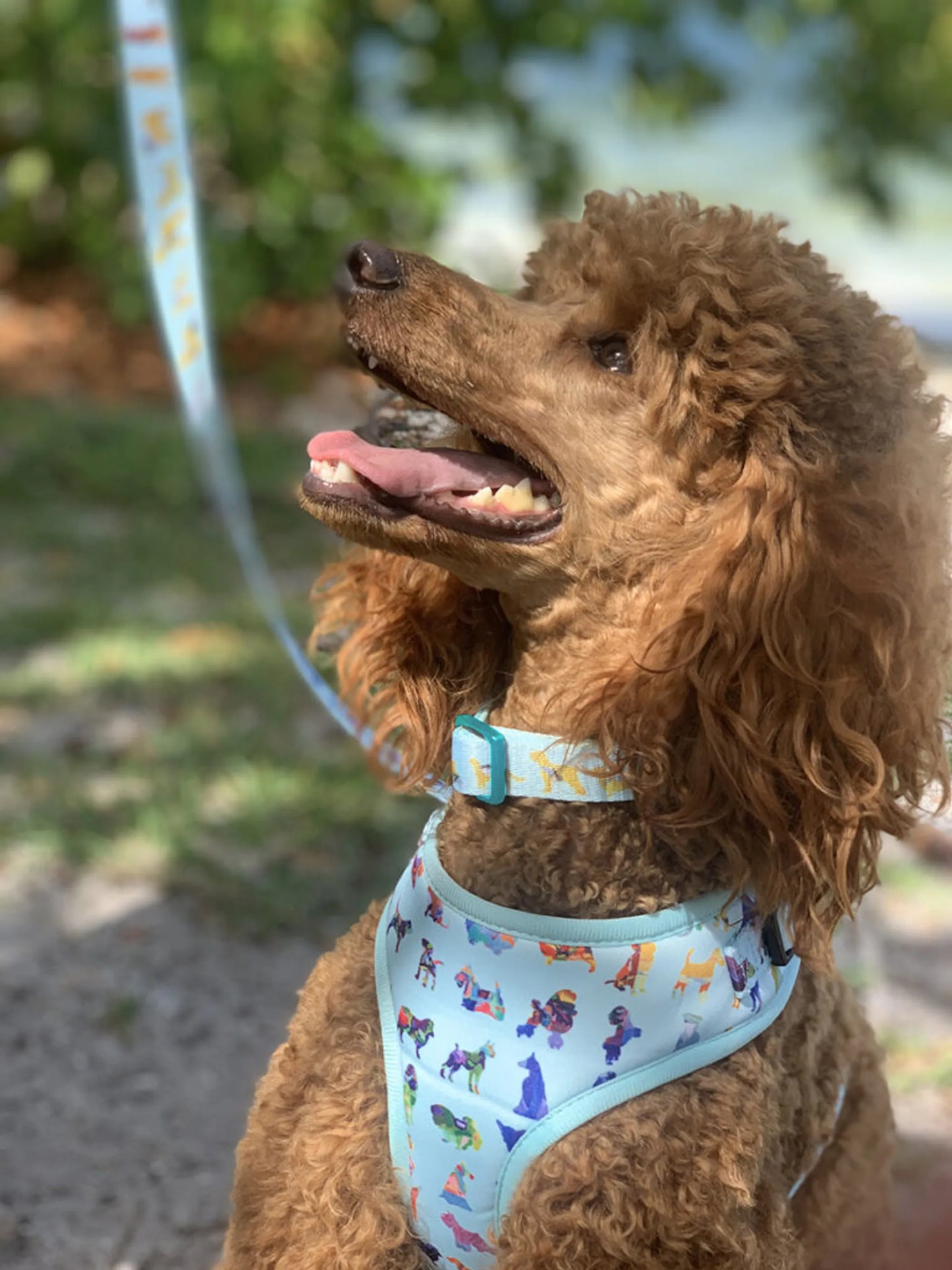 ComfortFlex Adjustable Dog Harness — Reflective, No-Choke, Washable