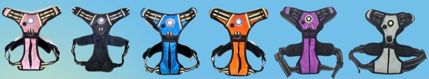 LED Safety Light Dog Harness — Rechargeable, Reflective, No-Choke, Water-Resistant