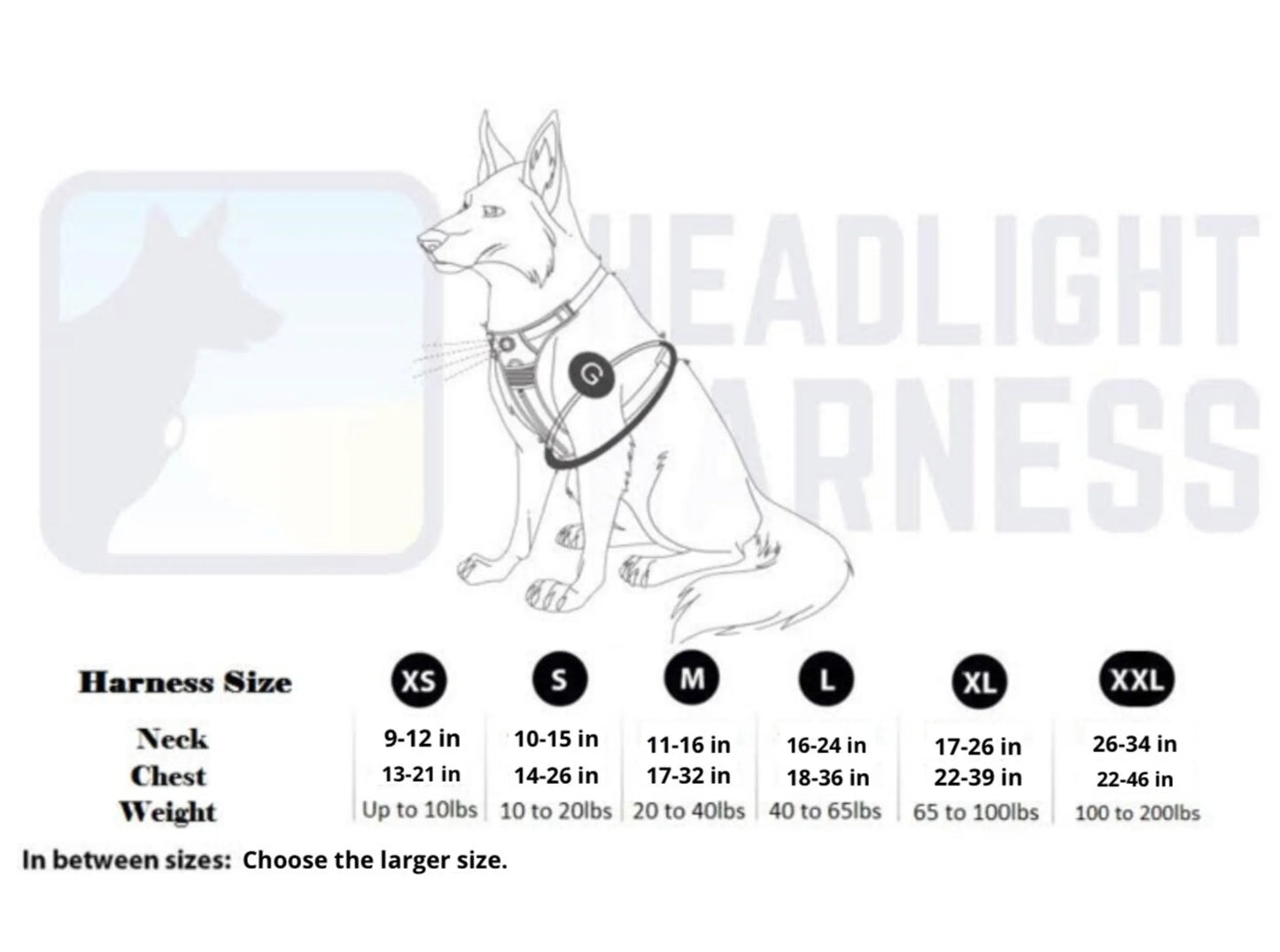 LED Safety Light Dog Harness — Rechargeable, Reflective, No-Choke, Water-Resistant