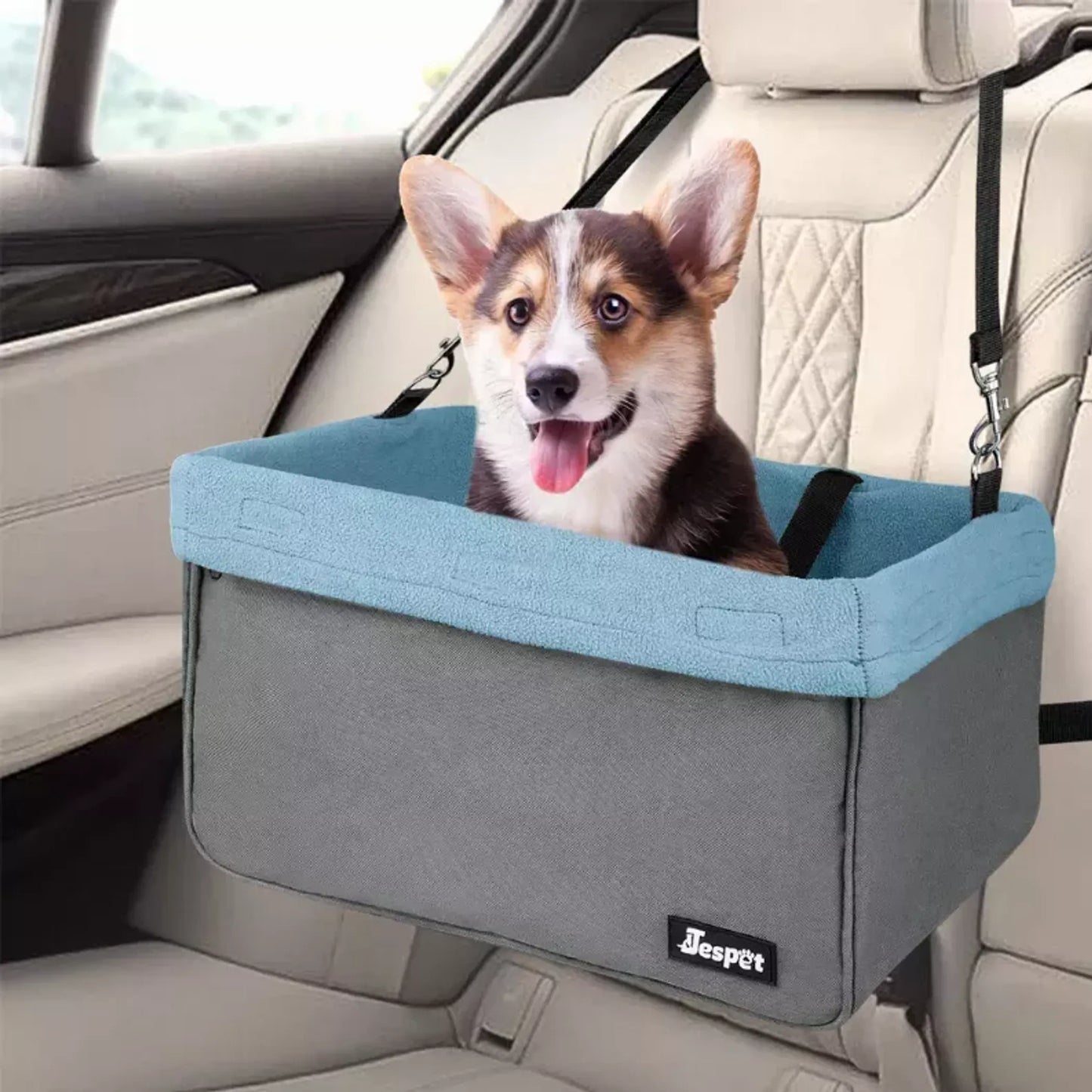Dog Car Booster Seat — Up to 24 lbs, Safety Tether, Elevated View, Washable
