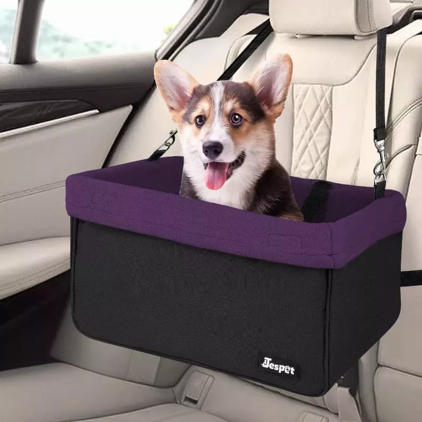 Dog Car Booster Seat — Up to 24 lbs, Safety Tether, Elevated View, Washable