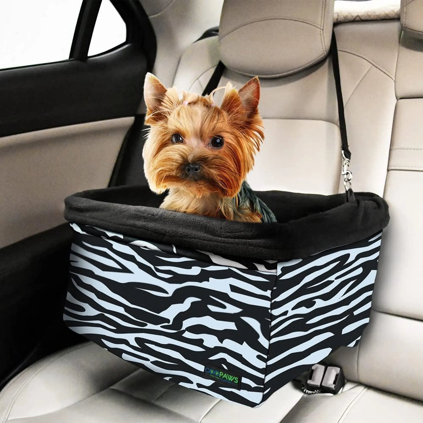 Dog Car Booster Seat — Up to 24 lbs, Safety Tether, Elevated View, Washable