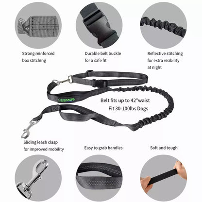 Reflective Bungee Dog Leash & Waist Belt for Hands-Free Adventures