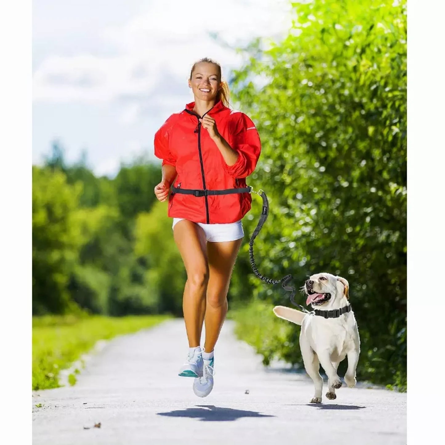 Reflective Bungee Dog Leash & Waist Belt for Hands-Free Adventures