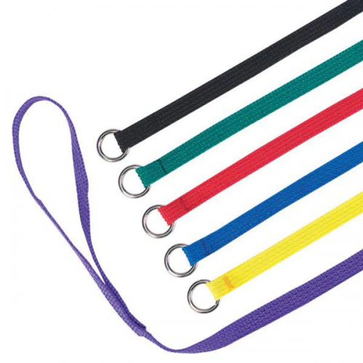 Professional Dog Kennel Leads — 6-Pack, 6ft, 1-Inch Wide, Vet & Groomer Grade