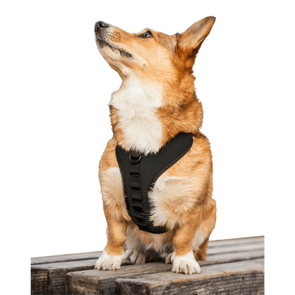 Breathable K9 Sport Harness — 3 D-Ring Points, Padded Mesh, Adjustable for All Adventures