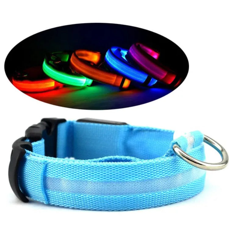 LED Safety Halo Dog Collar — Visible 1,000ft Away, 3 Light Modes, 5 Colors, S to XL