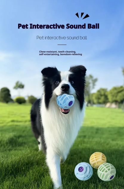 Interactive Sound Ball Pet Toy — Motion-Activated, Squeaky, Chew-Safe, Dogs & Cats