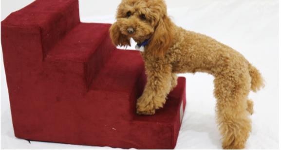 3-Step Anti-Slip Pet Stairs — 100 lb Capacity for Dogs & Cats