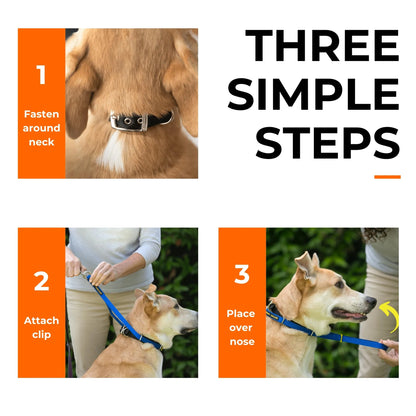 No-Pull Dog Head Collar for Large Breeds — Patented Design, Humane Control, Includes Carabiner