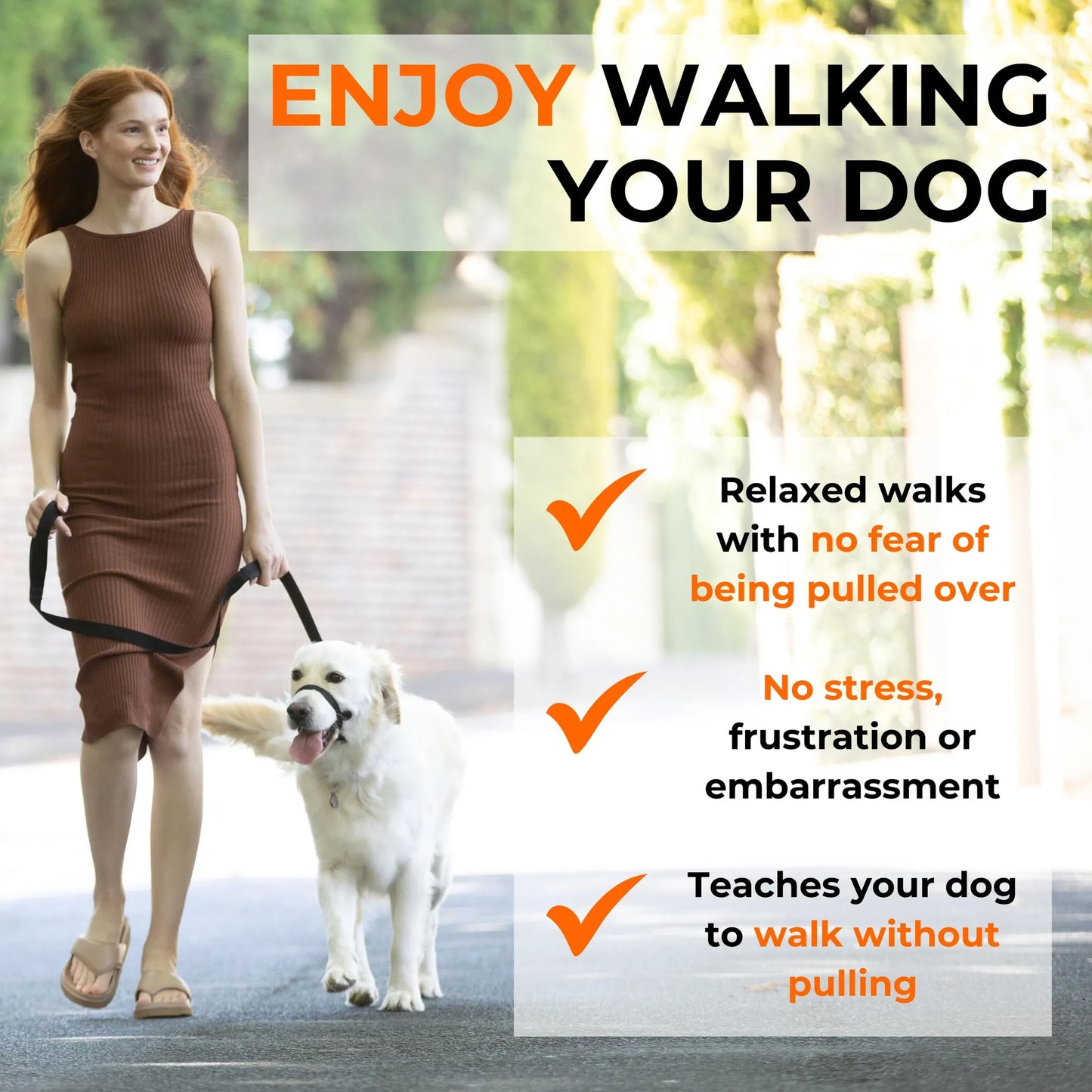No-Pull Dog Head Collar for Large Breeds — Patented Design, Humane Control, Includes Carabiner