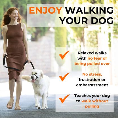 No-Pull Dog Head Collar for Large Breeds — Patented Design, Humane Control, Includes Carabiner