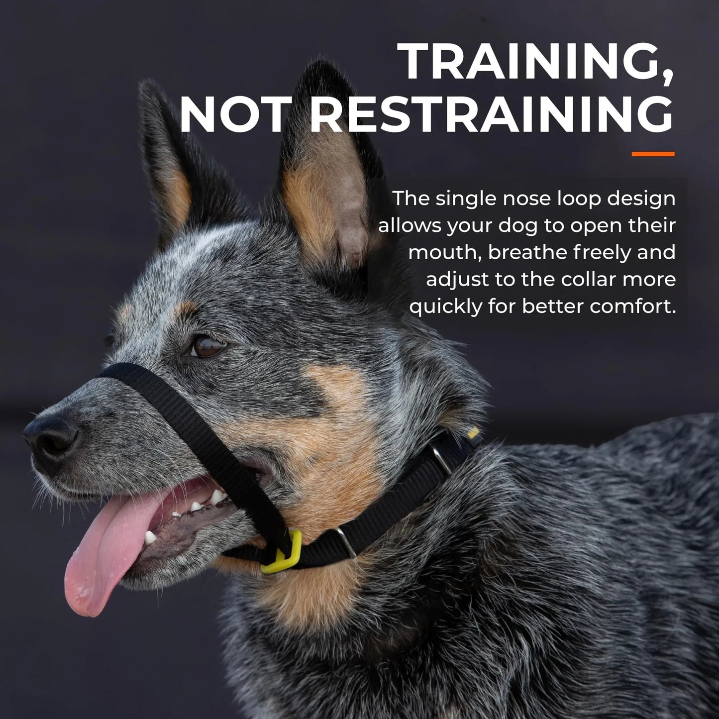 No-Pull Dog Head Collar for Large Breeds — Patented Design, Humane Control, Includes Carabiner