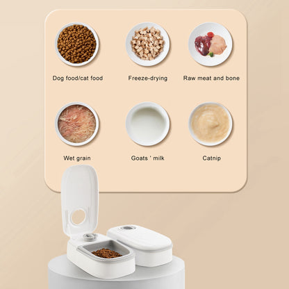 2-in-1 Gravity Pet Feeder & Water Dispenser — 1 Gallon, No Electricity, Cats & Small Dogs