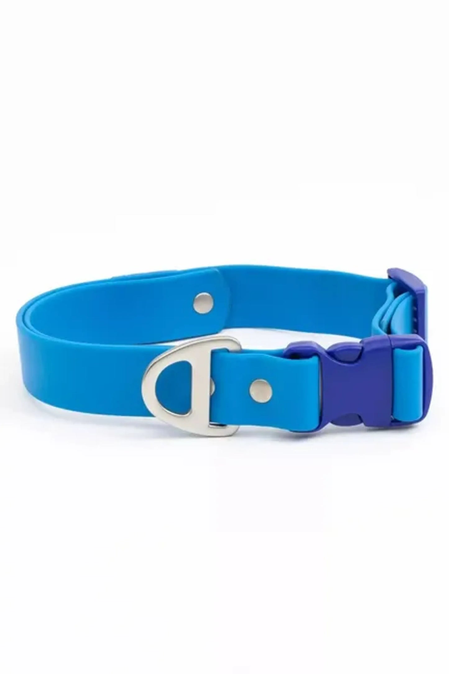 Dockside Adventure Waterproof Dog Collar — Metal D-Ring, Odor-Proof, Dual-Tone, XS to XL