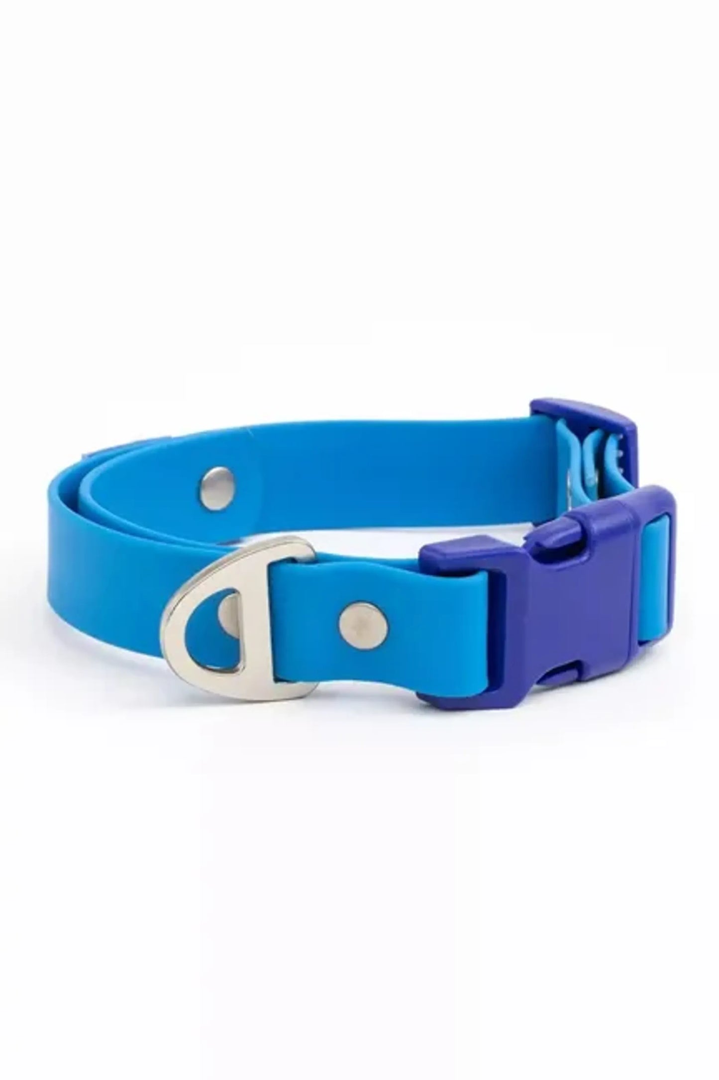 Dockside Adventure Waterproof Dog Collar — Metal D-Ring, Odor-Proof, Dual-Tone, XS to XL
