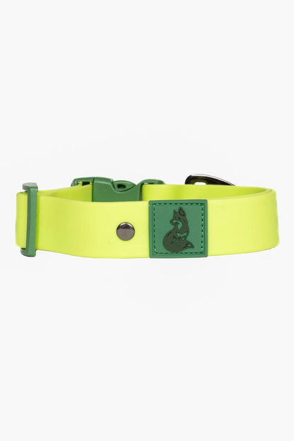 Mossy Pine Forest Waterproof Dog Collar - Heavy Duty & Stylish