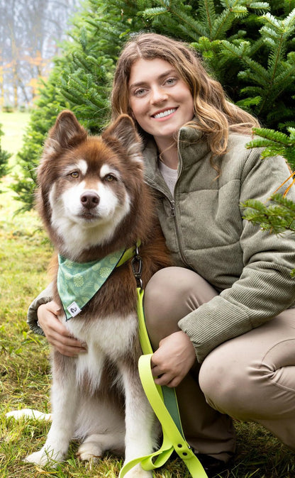 Mossy Pine Forest Waterproof Dog Collar - Heavy Duty & Stylish