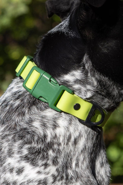 Mossy Pine Forest Waterproof Dog Collar - Heavy Duty & Stylish