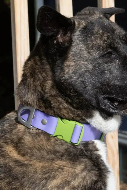 Lavender Garden Waterproof Dog Collar — 20% Wider, Odor-Proof, Quick-Release, Floral Dual-Tone