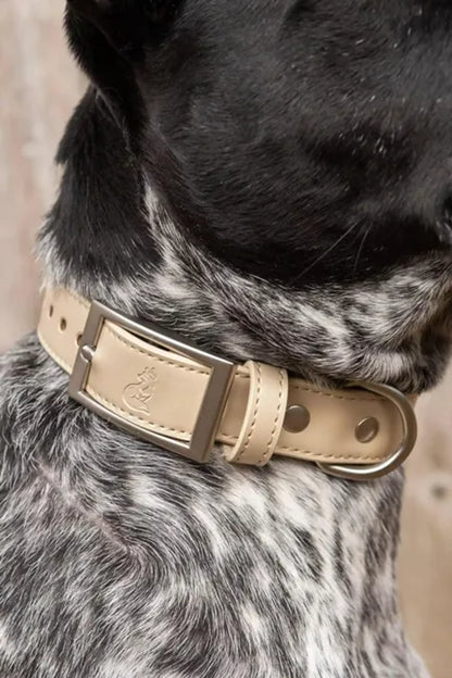 Champagne Fizz Vegan Leather Dog Collar — Water-Resistant, Cruelty-Free, Wipe-Clean