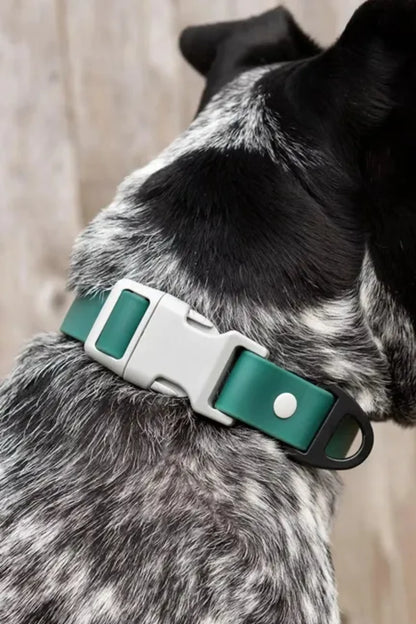 Waterproof Rubber-Coated Nylon Dog Collar with Heavy-Duty D-Ring