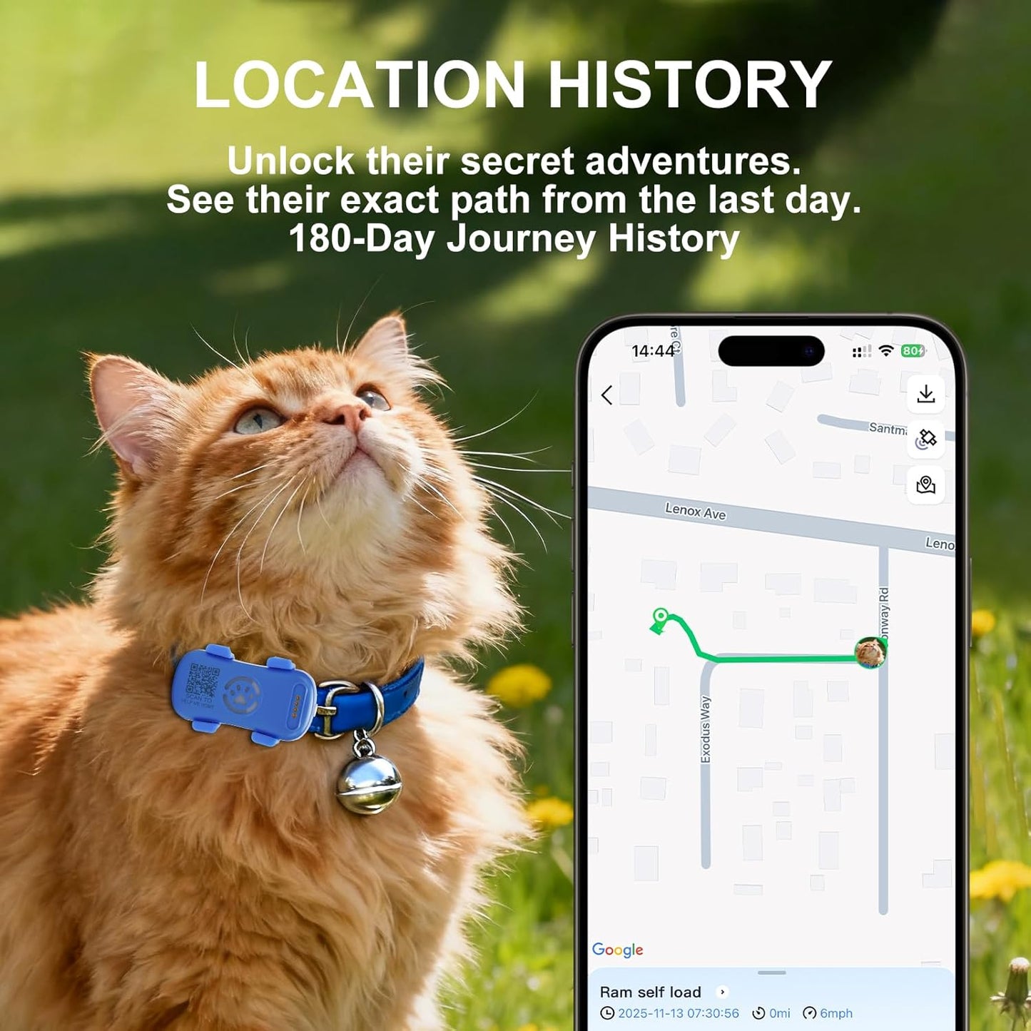 Real-Time GPS Dog Tracker — Unlimited Range, Geofence Alerts & Waterproof