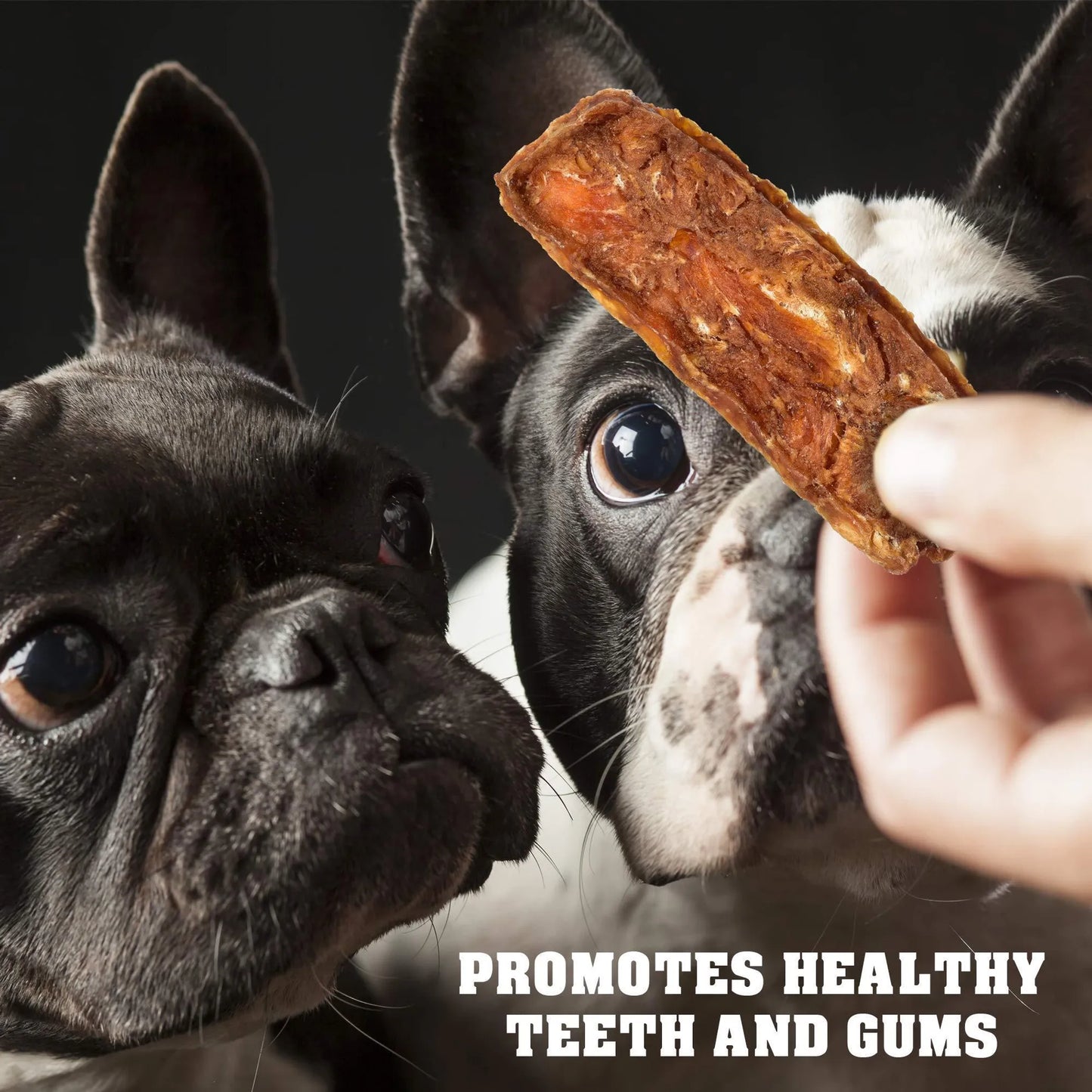 Pure Chicken Dog Treats - Grain-Free High Protein Training Rewards