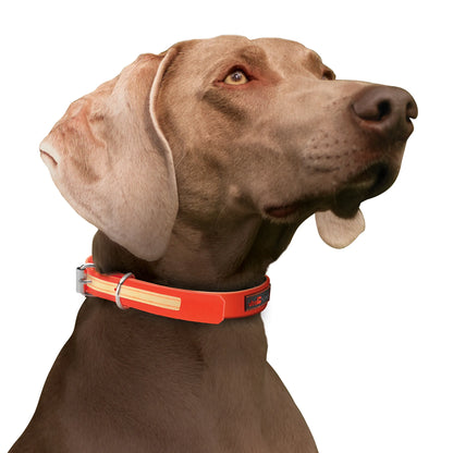 GlowPro Waterproof Glow-in-the-Dark Dog Collar — No-Smell, Steel Roller Buckle, 18"