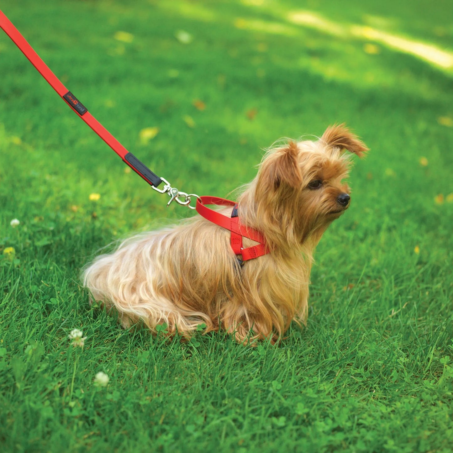 Boss Waterproof Comfort Dog Lead - Durable, Hygienic, Stylish 6'