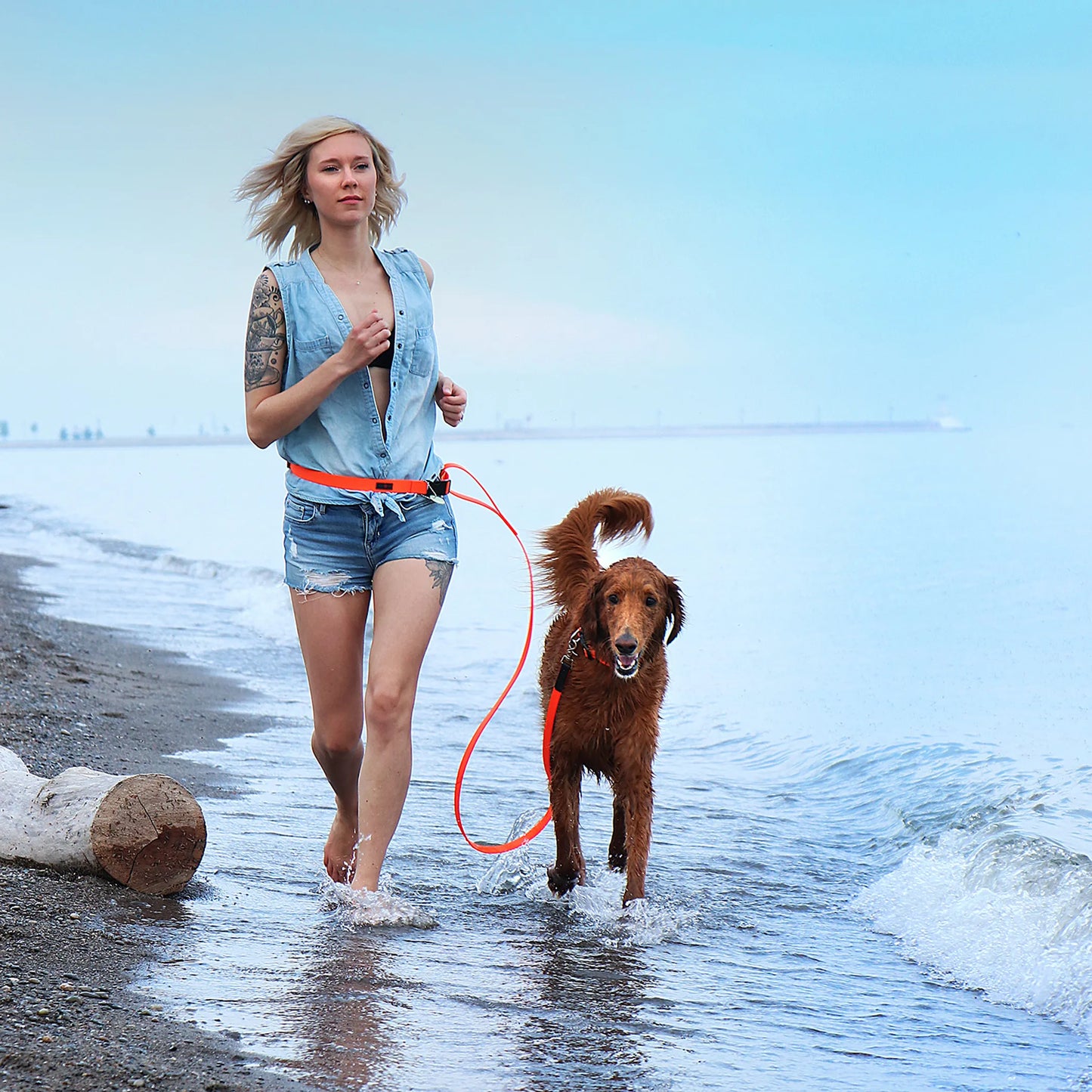 Boss Waterproof Comfort Dog Lead - Durable, Hygienic, Stylish 6'
