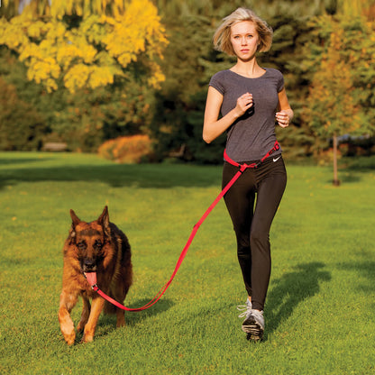 Boss Waterproof Adjustable Dog Lead — Nylon Core, Metal D-Ring, Dual-Tone, XS to XL