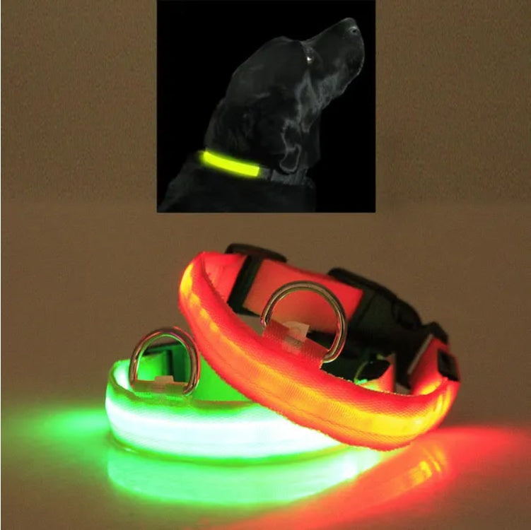 LED Safety Halo Dog Collar — Visible 1,000ft Away, 3 Light Modes, 5 Colors, S to XL