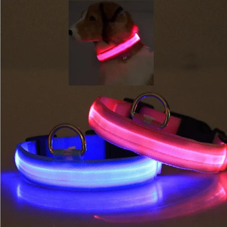 LED Safety Halo Dog Collar — Visible 1,000ft Away, 3 Light Modes, 5 Colors, S to XL