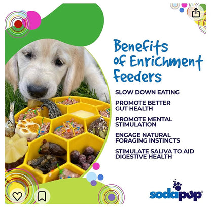 Honeycomb Slow Feeder Dog Bowl — Anti-Bloat, Mental Enrichment, Dishwasher Safe, USA Made
