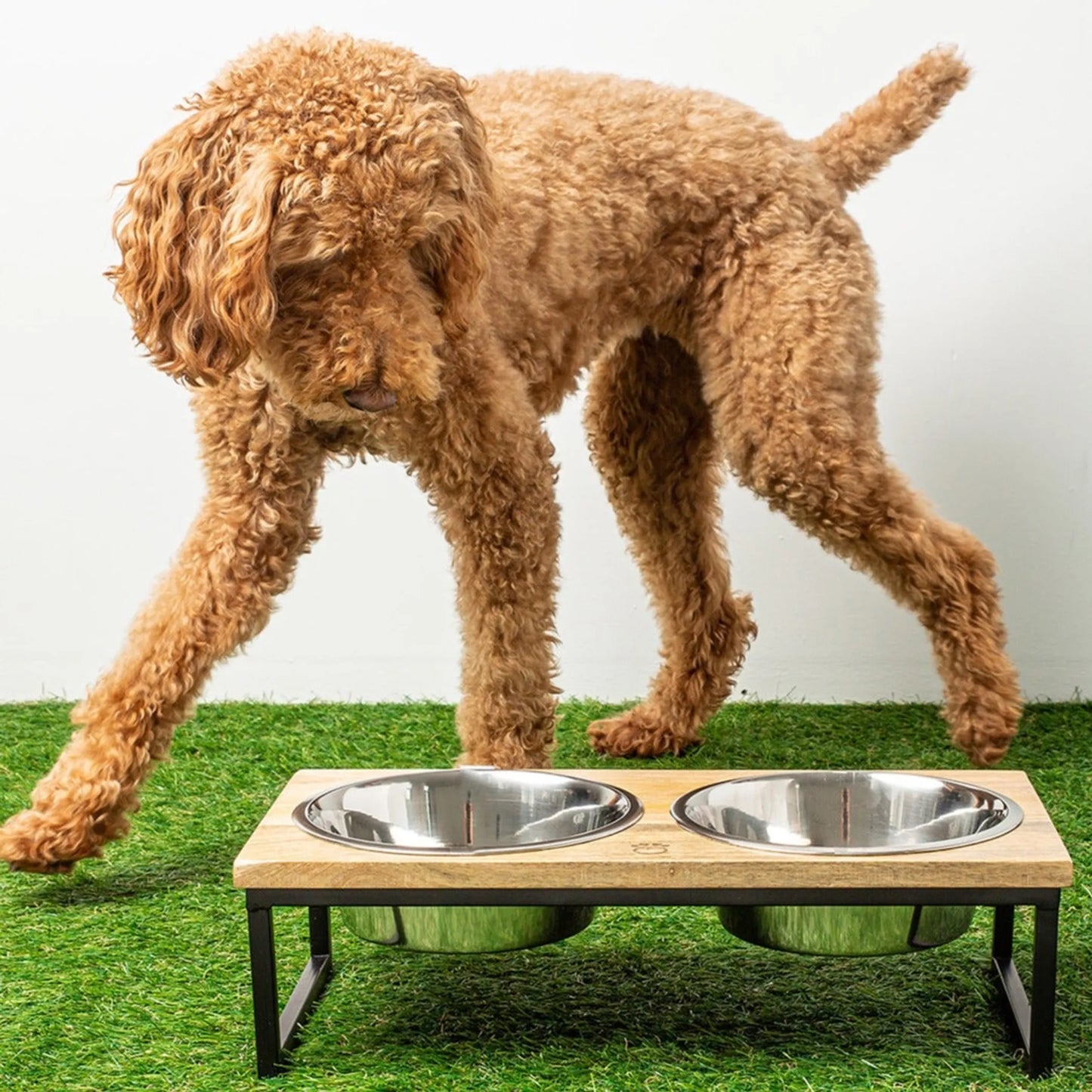 Premium Elevated Dog Feeder - Handmade Wood & Stainless Steel Bowls