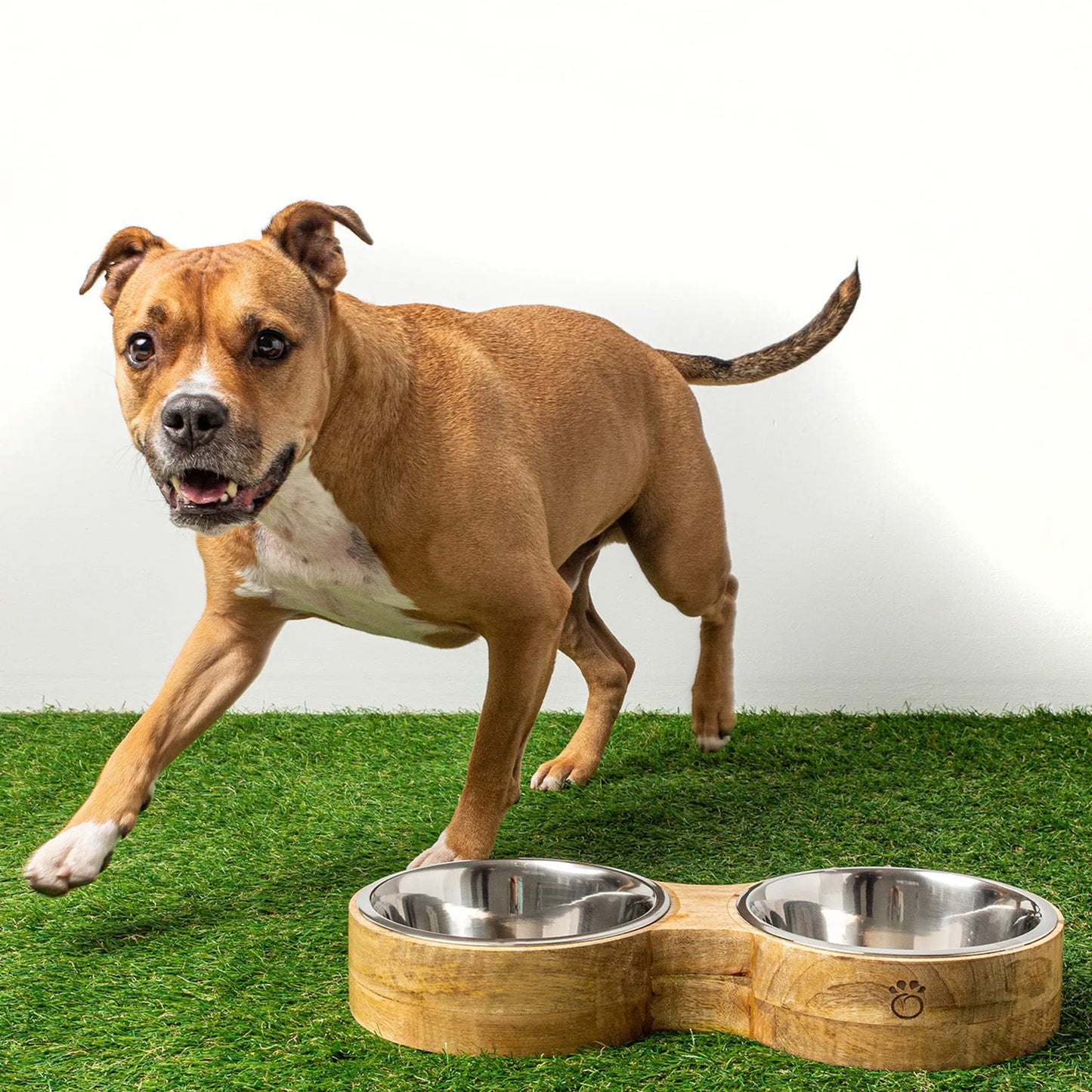 Mango Wood Figure-8 Pet Feeder — Handmade in India, Stainless Steel Bowls, S/M/L