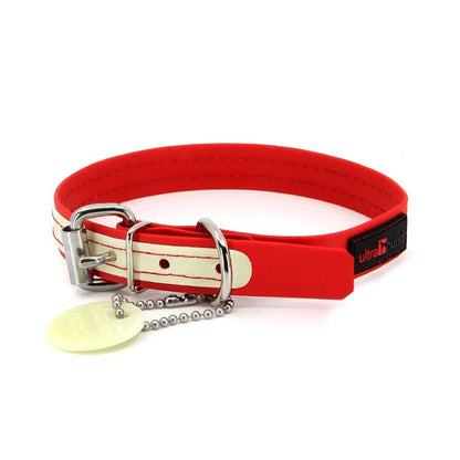 SolarGlow Safety Dog Collar: Waterproof, Odor-Free Shine
