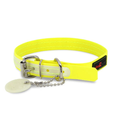 SolarGlow Safety Dog Collar: Waterproof, Odor-Free Shine