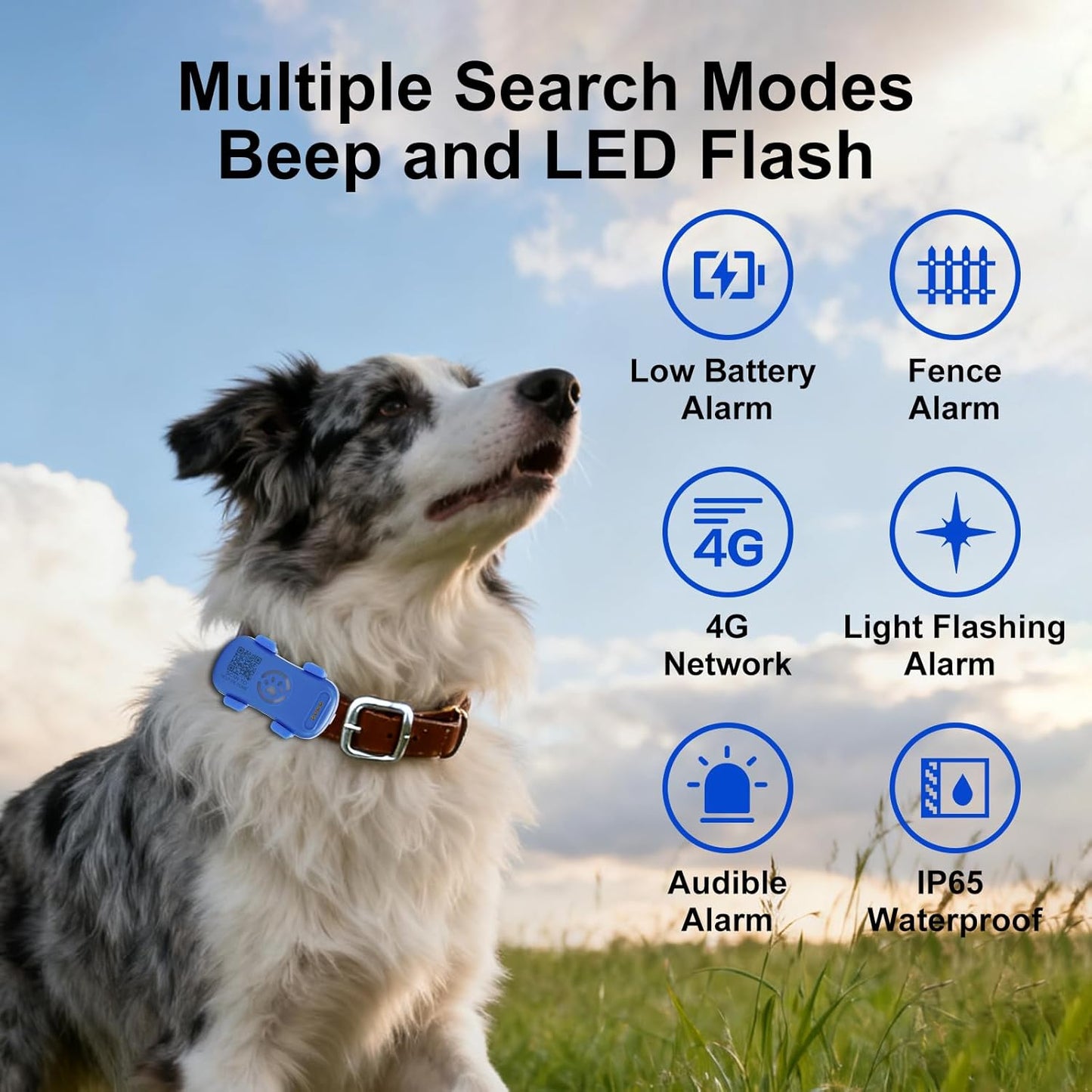 Real-Time GPS Dog Tracker — Unlimited Range, Geofence Alerts & Waterproof