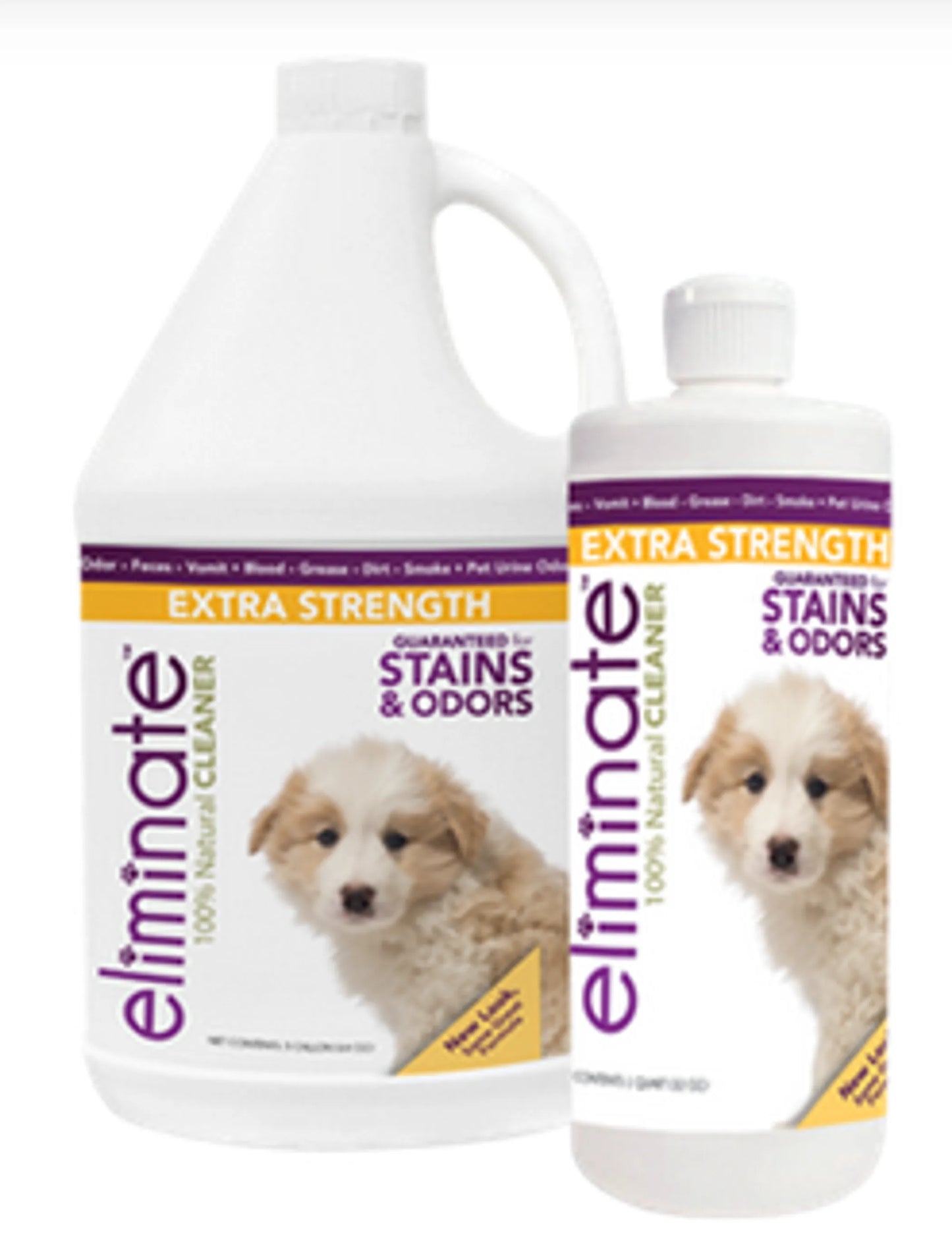 Natural Pet Stain & Odor Remover — Enzyme Formula, Multi-Surface, Eco-Safe