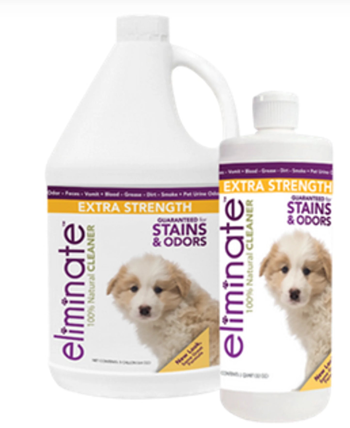 Natural Pet Stain & Odor Remover — Enzyme Formula, Multi-Surface, Eco-Safe